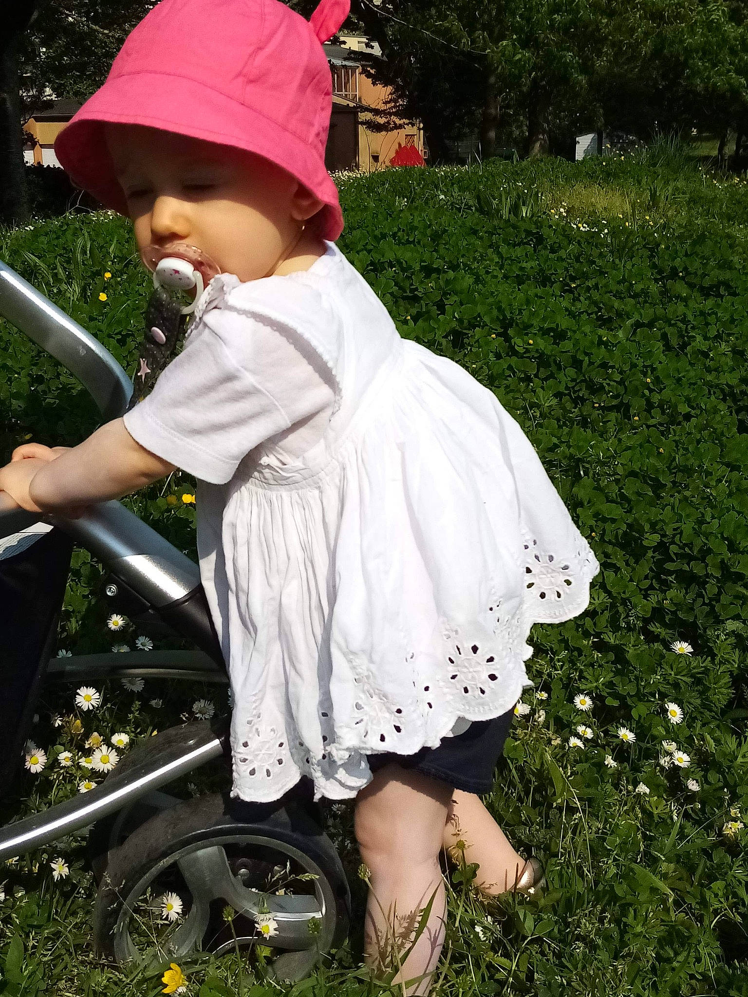 Roxana participe au concours pour gagner de l'argent avec cette photo : bonnet, cap, child, grass, headgear, headwear, person, plant, play, toddler