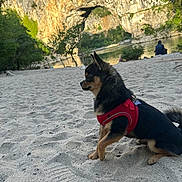 Virus participe au concours pour gagner de l'argent avec cette photo : animal, canine, dog, harness, landscape, nature, outdoor, park, pet, relaxing, river, rocky_cliff, sand, scenic, small_dog, summer, sunlight, trees, water, wildlife