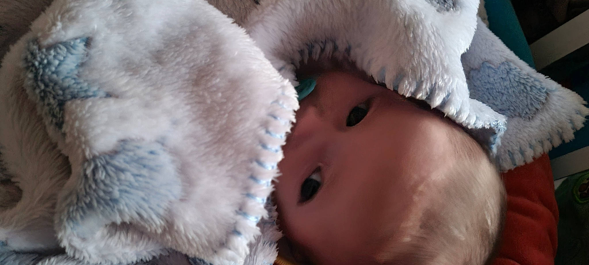 Lyvio a rejoint le concours — aidez-le/la à gagner de superbes lots ! animal_product, cap, child, close_up, eye, eyebrow, eyelash, freezing, fur, fur_clothing, happy, headgear, lip, mammal, nose, person, skin, textile, tree, vertebrate