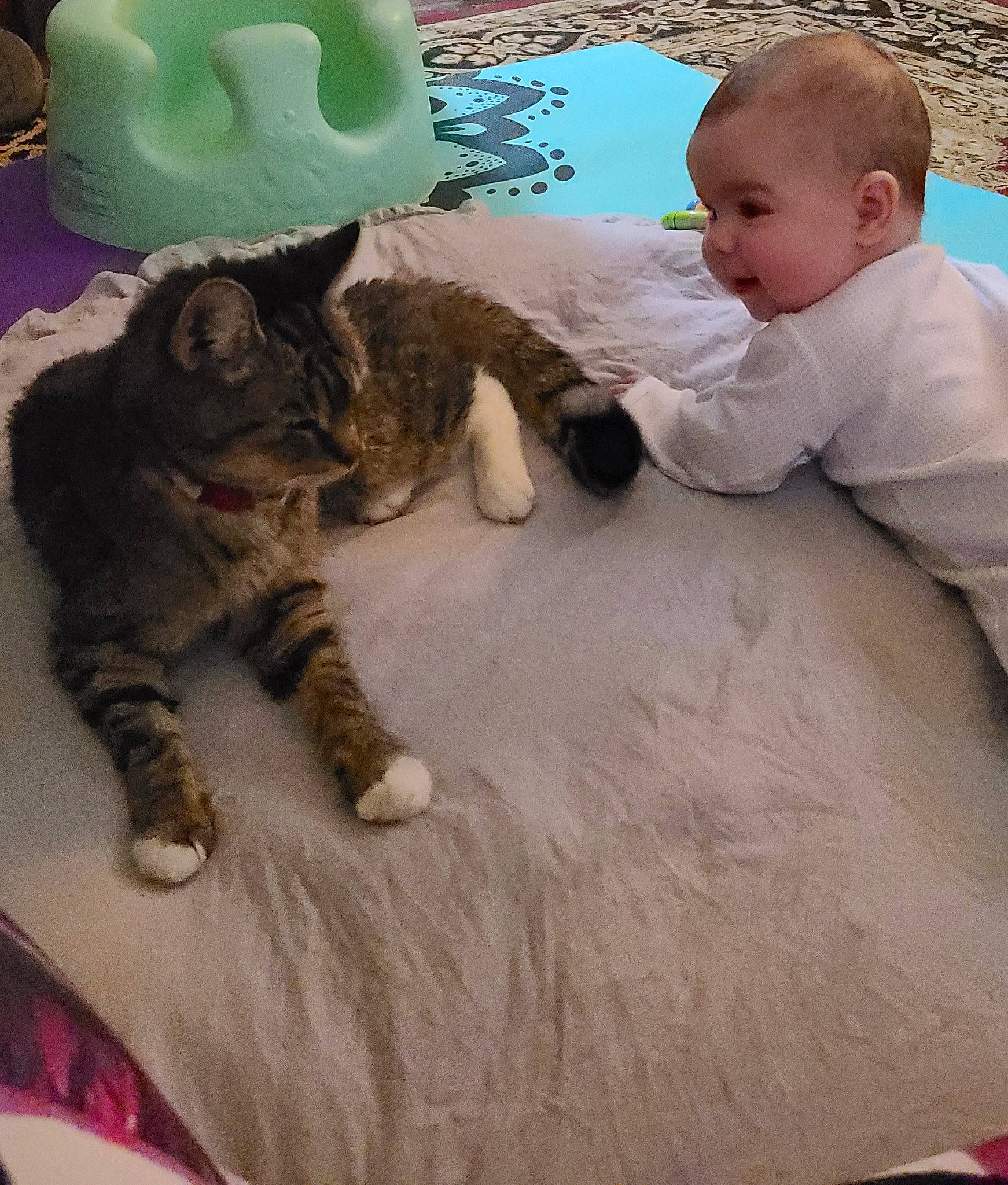Emma Fae joined the competition — help win amazing prizes! baby, baby_toddler_clothing, carnivore, cat, curious, domestic_short_haired_cat, felidae, foot, fur, human, linens, paw, person, play, small_to_medium_sized_cats, tabby_cat, toddler, tummy_time, vertebrate, whiskers