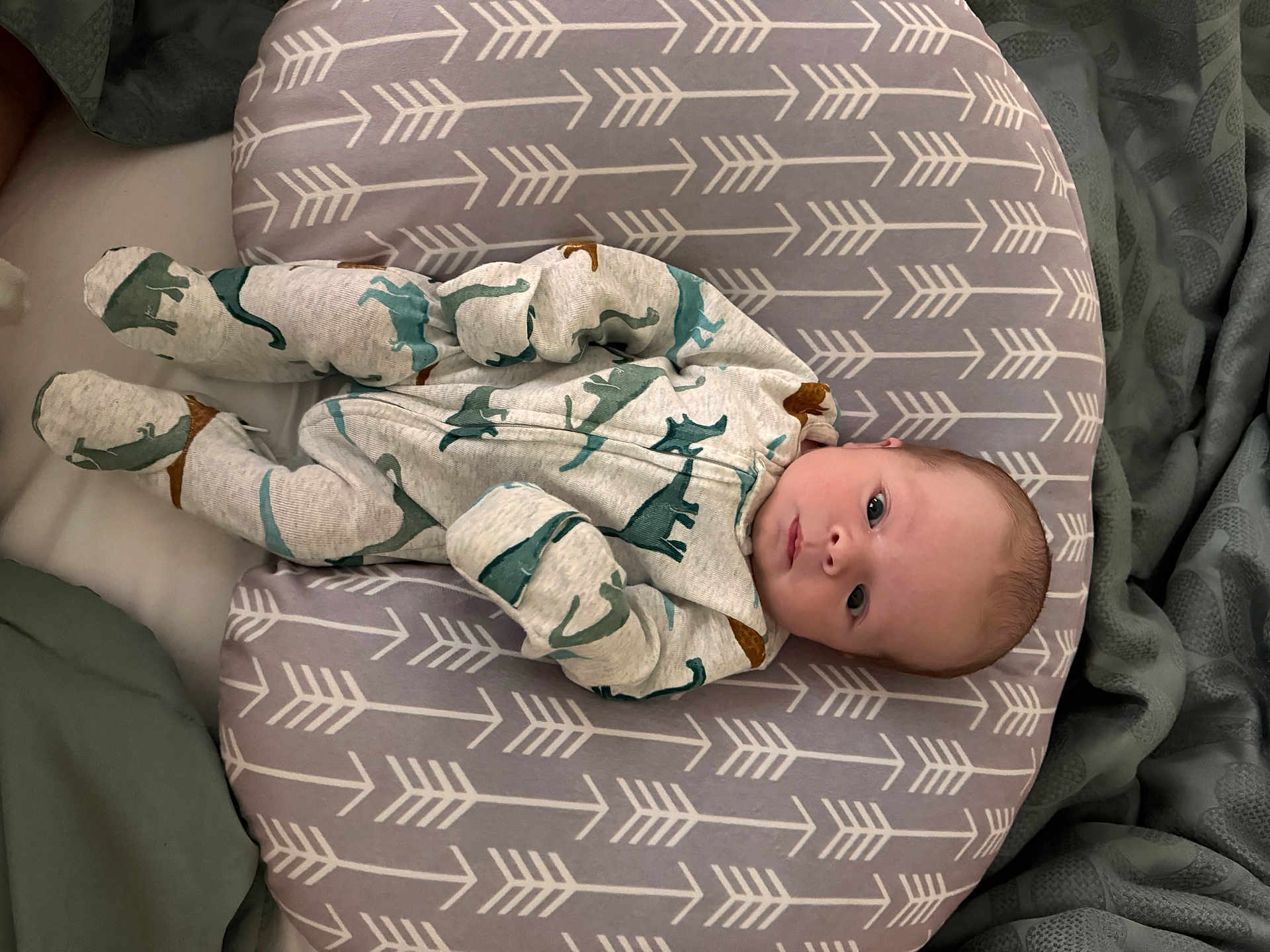 David joined the competition — help win amazing prizes! baby, infant, pajamas, dinosaur_pattern, pillow, arrow_pattern, bed, blanket, sleepwear, child, lying_down, cute, cozy, indoors, person, head, face, eyes, soft_fabric, resting