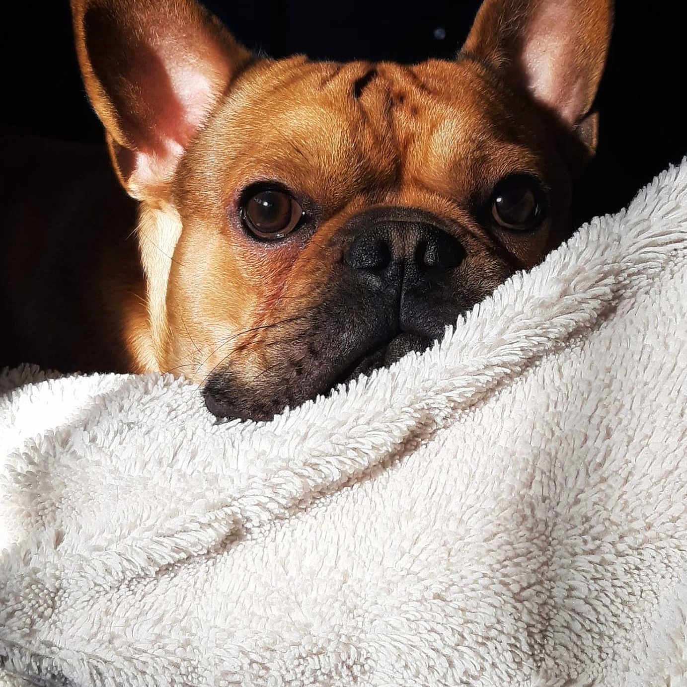 Rosco
