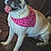 Lucy