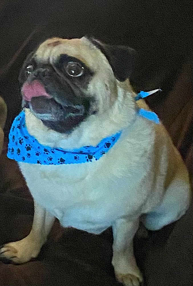 Max