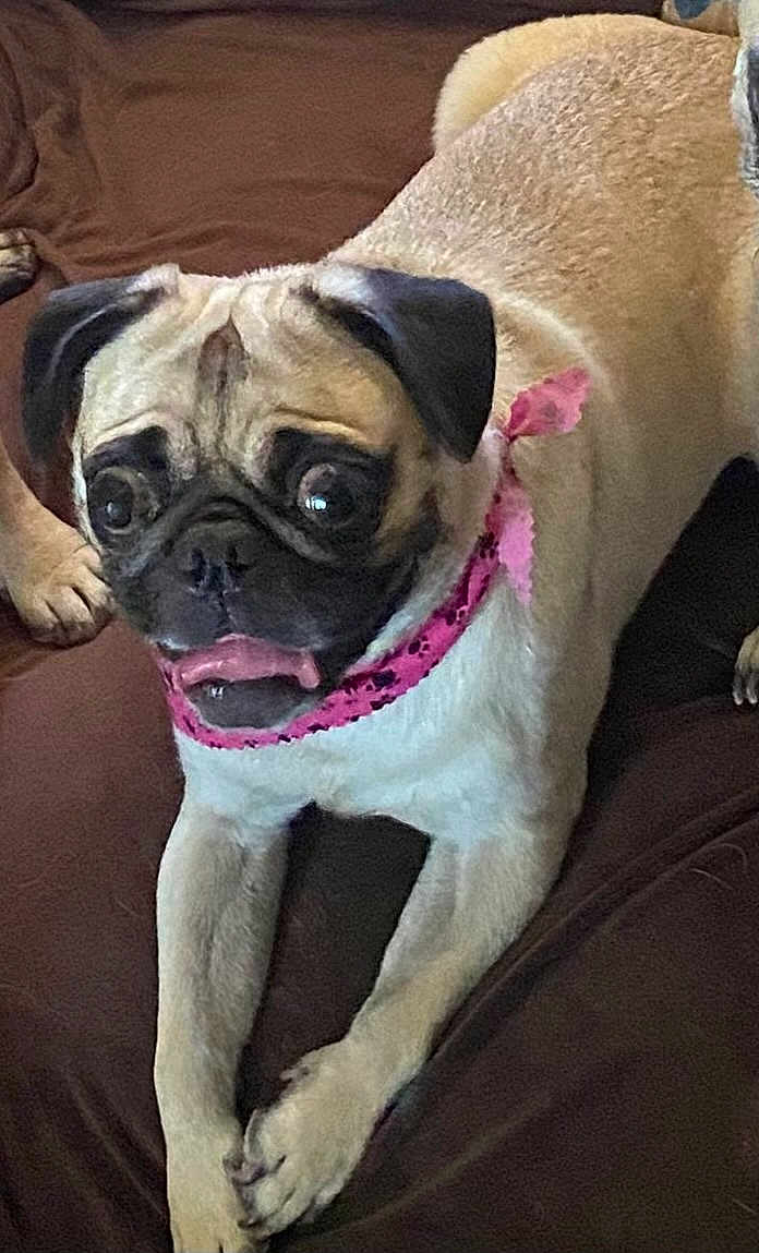 Peanut