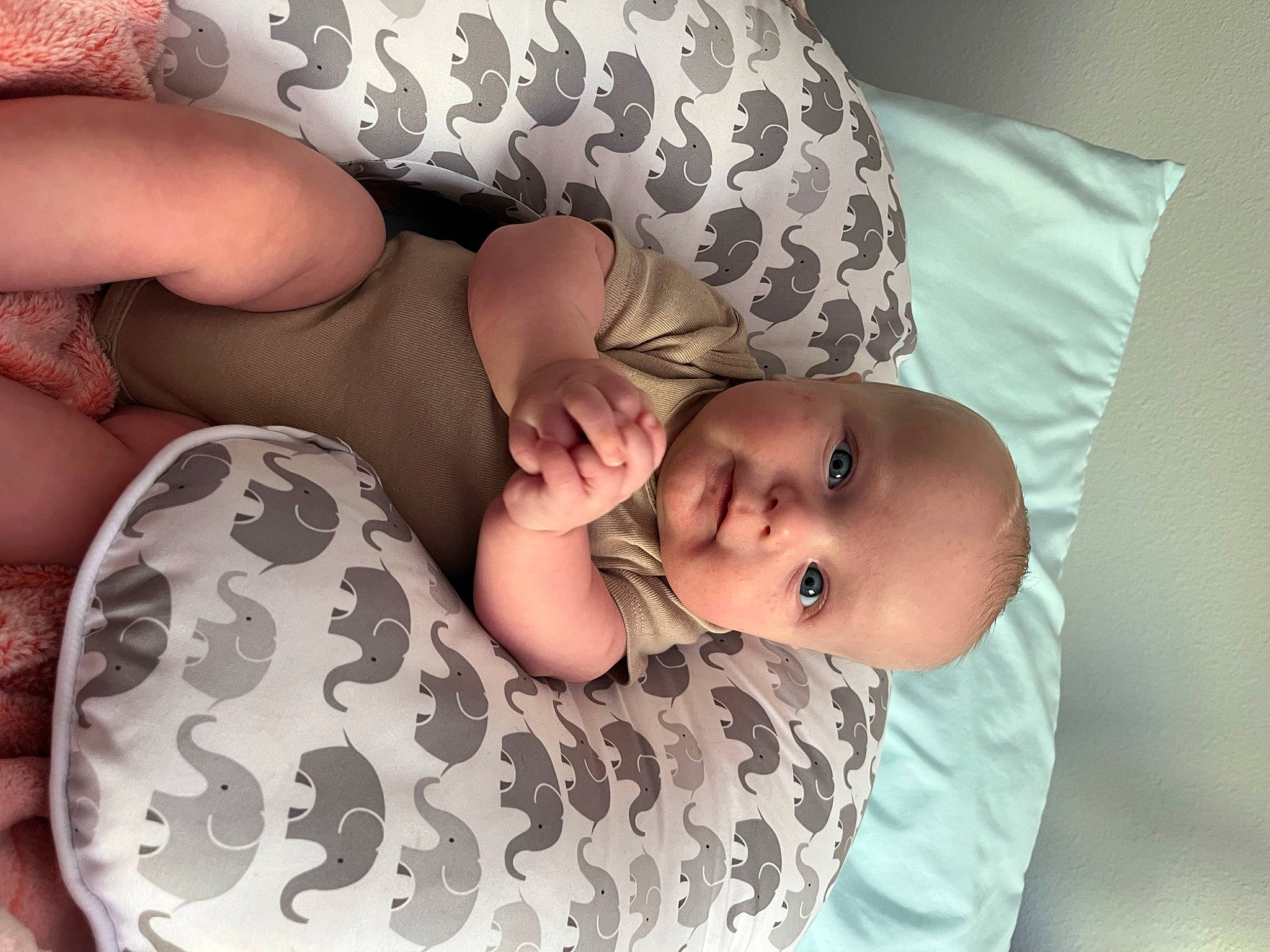 Atticus is registered to the contest to win money with this photo: arm, baby, baby_sleeping, baby_toddler_clothing, cheek, chest, child, comfort, eye, facial_expression, finger, hand, head, human_body, mouth, person, skin, sleeve, stomach, thigh