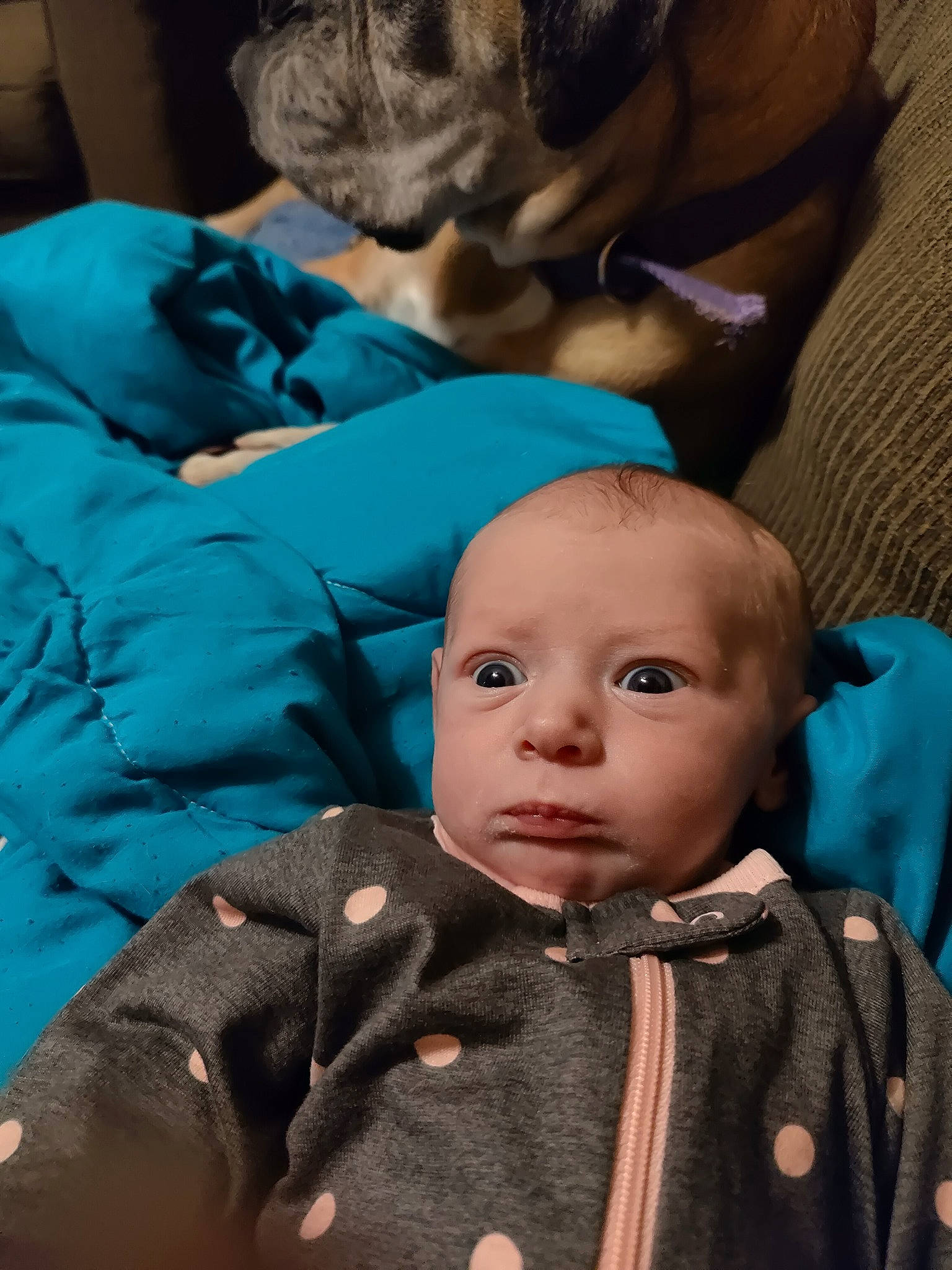 Katherine is registered to the contest to win money with this photo: baby, baby_products, baby_toddler_clothing, blue, cheek, child, comfort, electric_blue, fun, green, head, mammal, mouth, organ, people, person, photograph, sitting, skin, sleeve