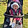 Lottie