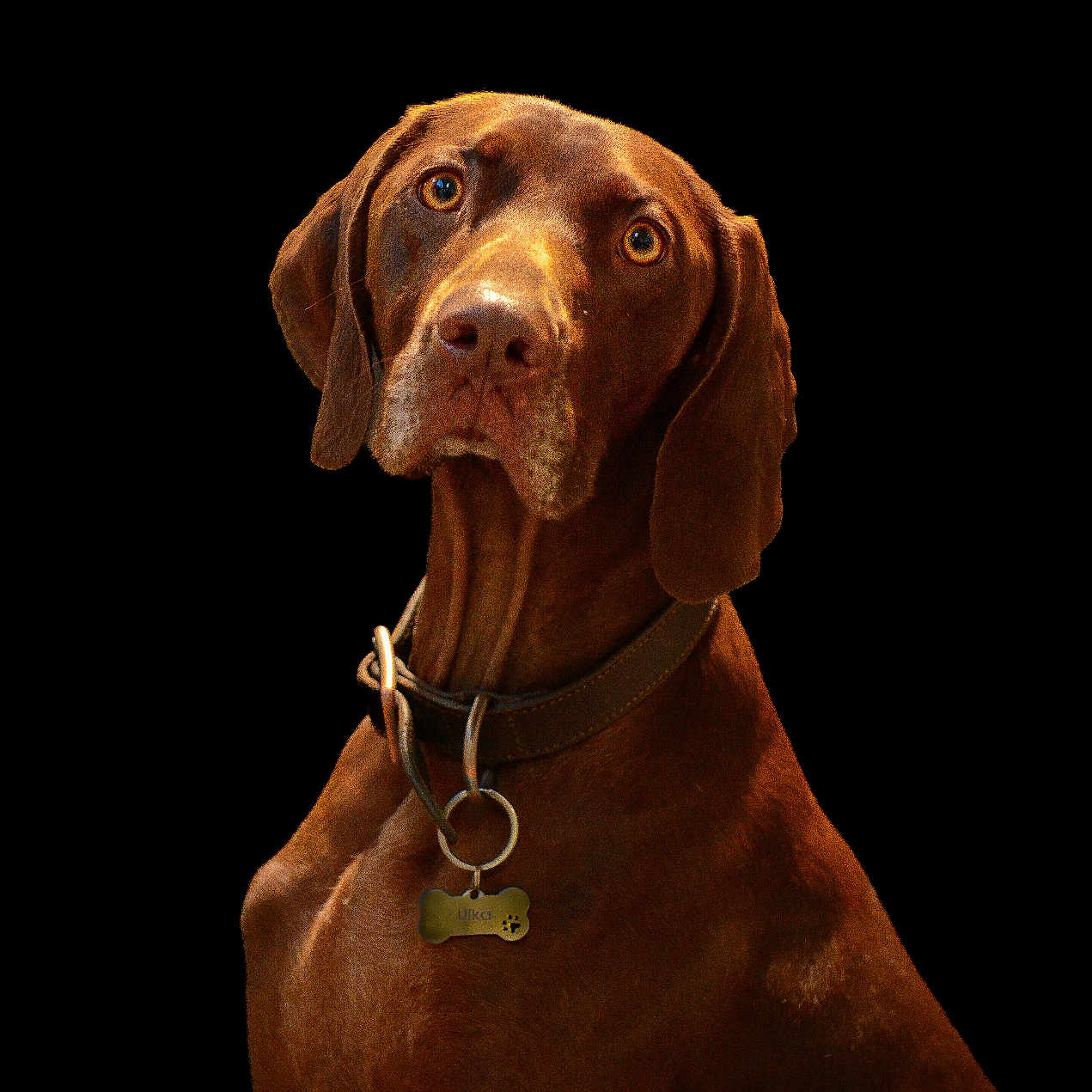 Ulka
