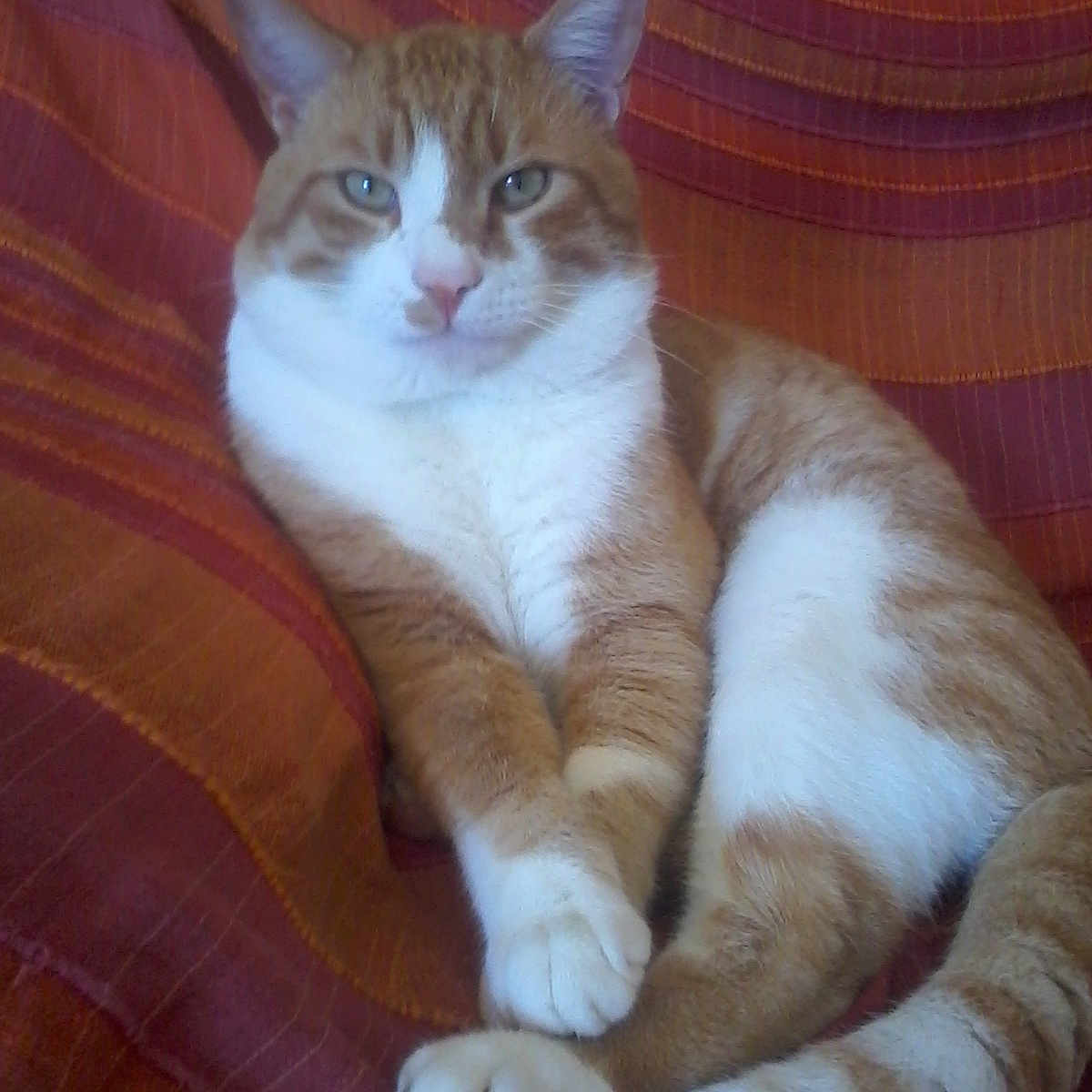 Caramel