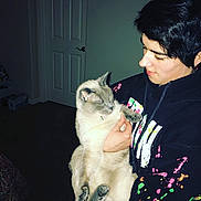 Mooshu joined the competition — help win amazing prizes! person, cat, indoor, holding, black_hoodie, colorful_splatter, short_hair, light_fur, face, closed_door, wall, hand, pet, animal, comfort, casual_clothing, human, feline, gentle, portrait