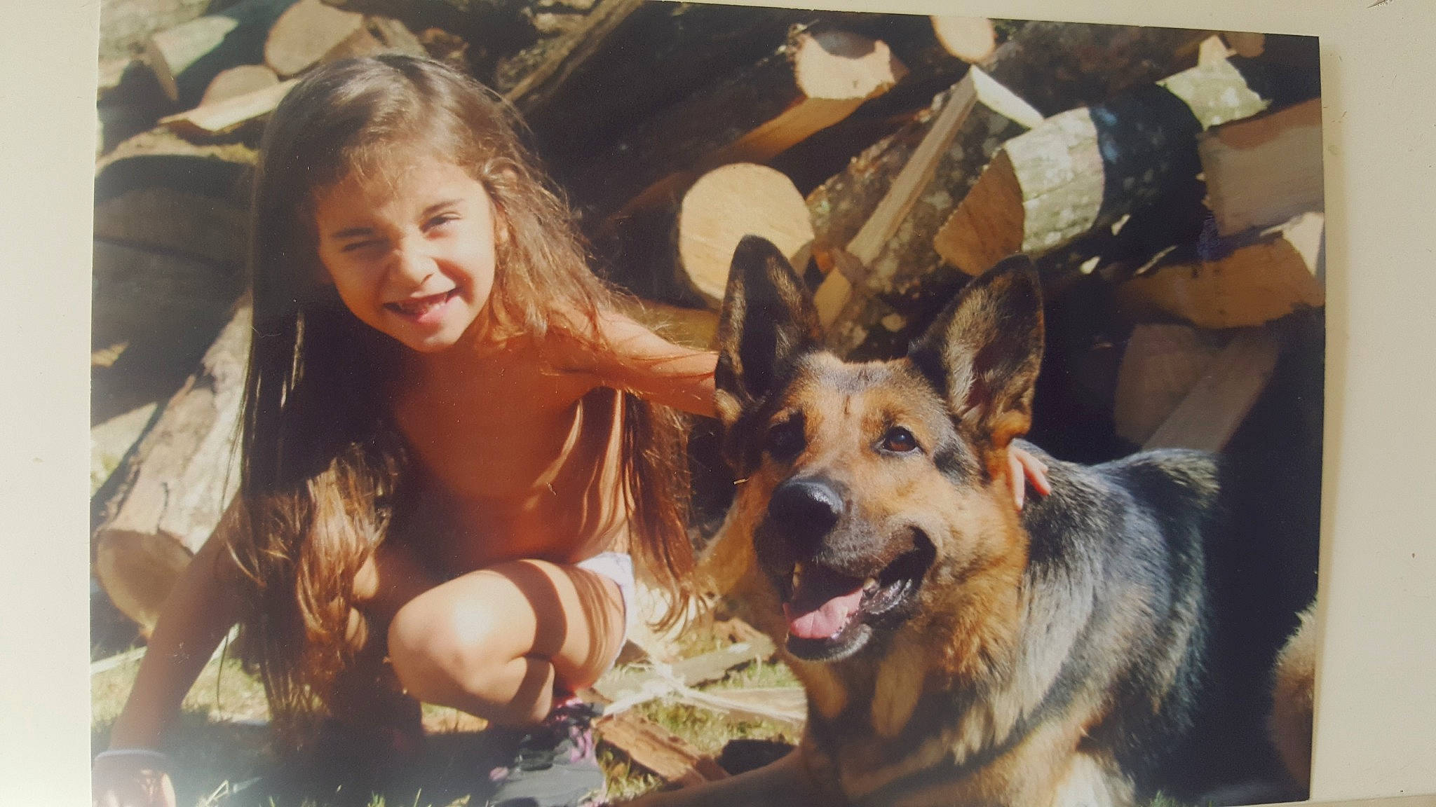 Shanaa a rejoint le concours — aidez-le/la à gagner de superbes lots ! canidae, carnivore, dog, dog_breed, east_european_shepherd, fawn, german_shepherd_dog, joy, king_shepherd, kunming_wolfdog, mammal, old_german_shepherd_dog, person, police_dog, shiloh_shepherd_dog, wolfdog, working_dog