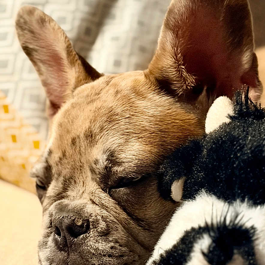 Bonnie