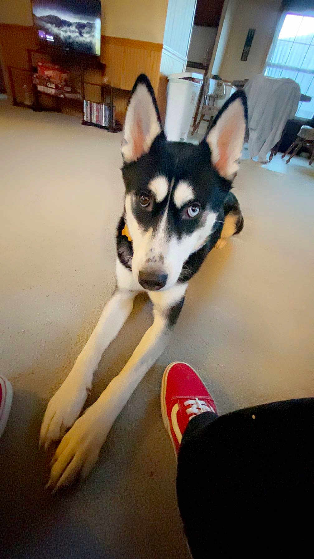 Tundra