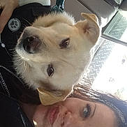 Gucci Bomber joined the competition — help win amazing prizes! woman, dog, selfie, vehicle_interior, seat, cap, harness, paw_print, bandana, blue_eyes, cuddling, pet, closeup, portrait, sunlight, relaxed, casual, friendship, indoor, leisure