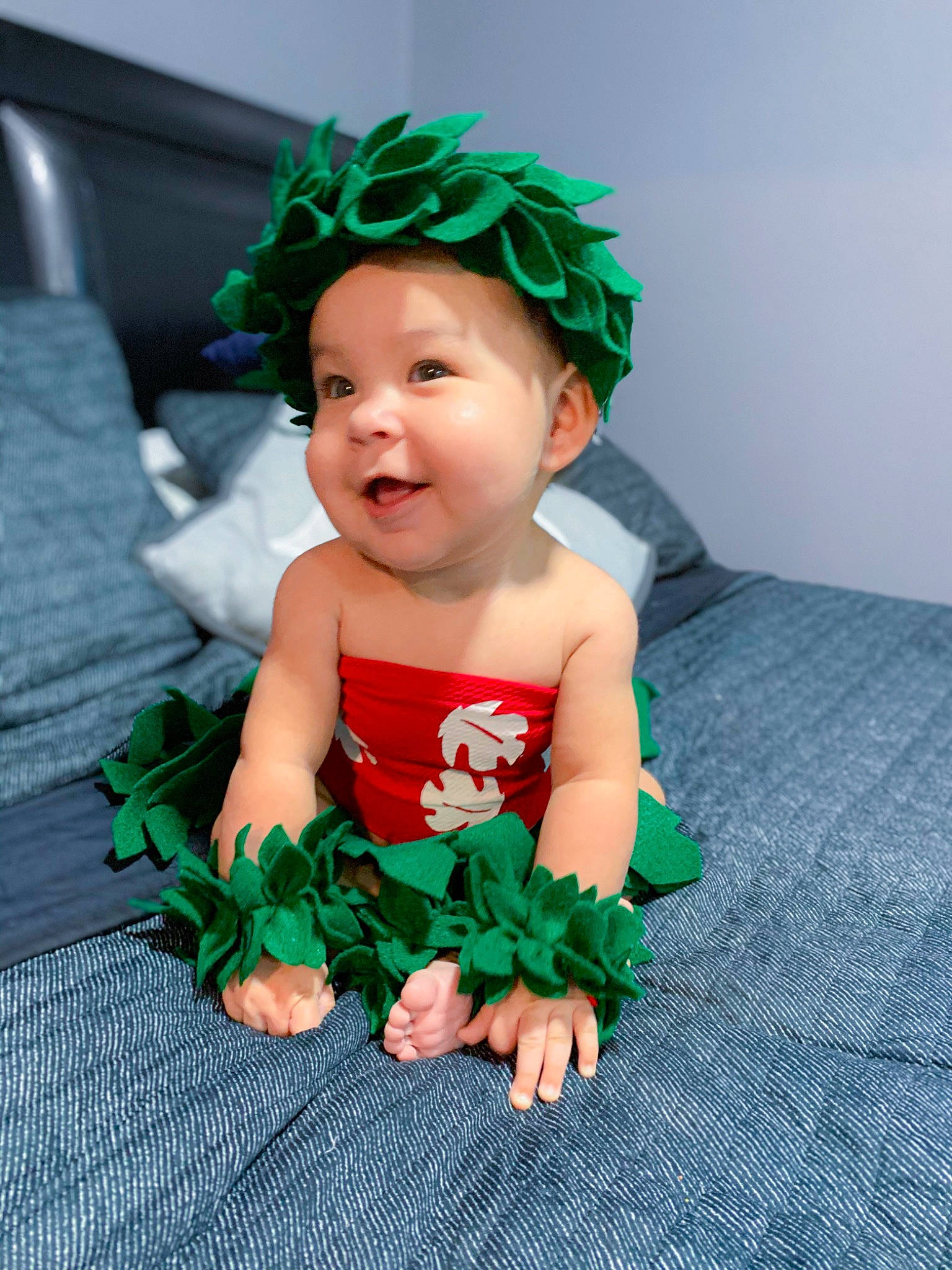 Anahi is registered to the contest to win money with this photo: arm, baby, baby_bloomers, baby_toddler_clothing, child, costume, costume_accessory, dress, fashion_accessory, green, hair_accessory, head, headband, headgear, headpiece, headwear, leaf, person, photography, sitting