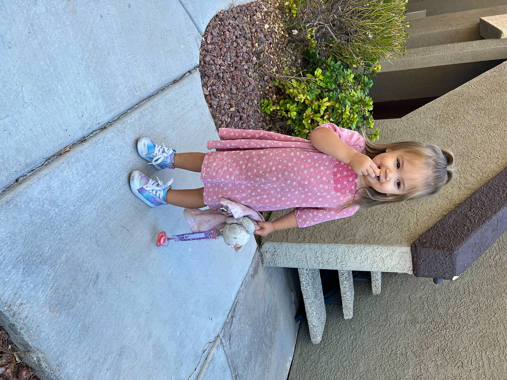 Emory is registered to the contest to win money with this photo: asphalt, city, comfort, concrete, flooring, foot, grass, human_leg, leg, leisure, outdoor_bench, outdoor_furniture, person, plant, road_surface, sandal, shoe, sidewalk, sitting, thigh