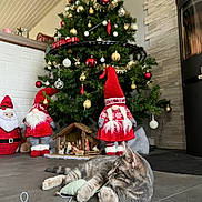 Zola participe au concours pour gagner de l'argent avec cette photo : cat, kitten, toy_mouse, string, floor, christmas_tree, ornaments, santa_figurine, gnome_figurine, nativity_scene, holiday_decorations, indoor, festive, cozy, decor, tile_floor, playful, pet, animal, home