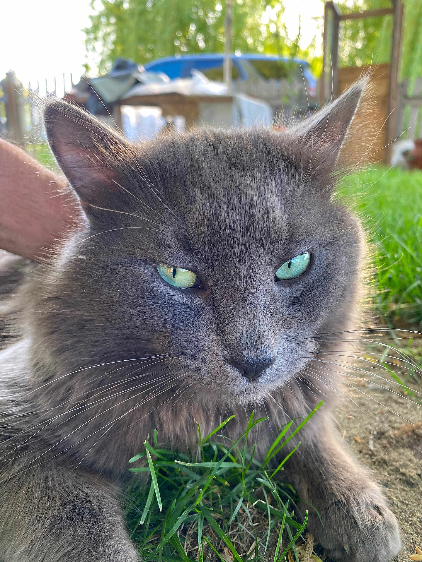 Smokey