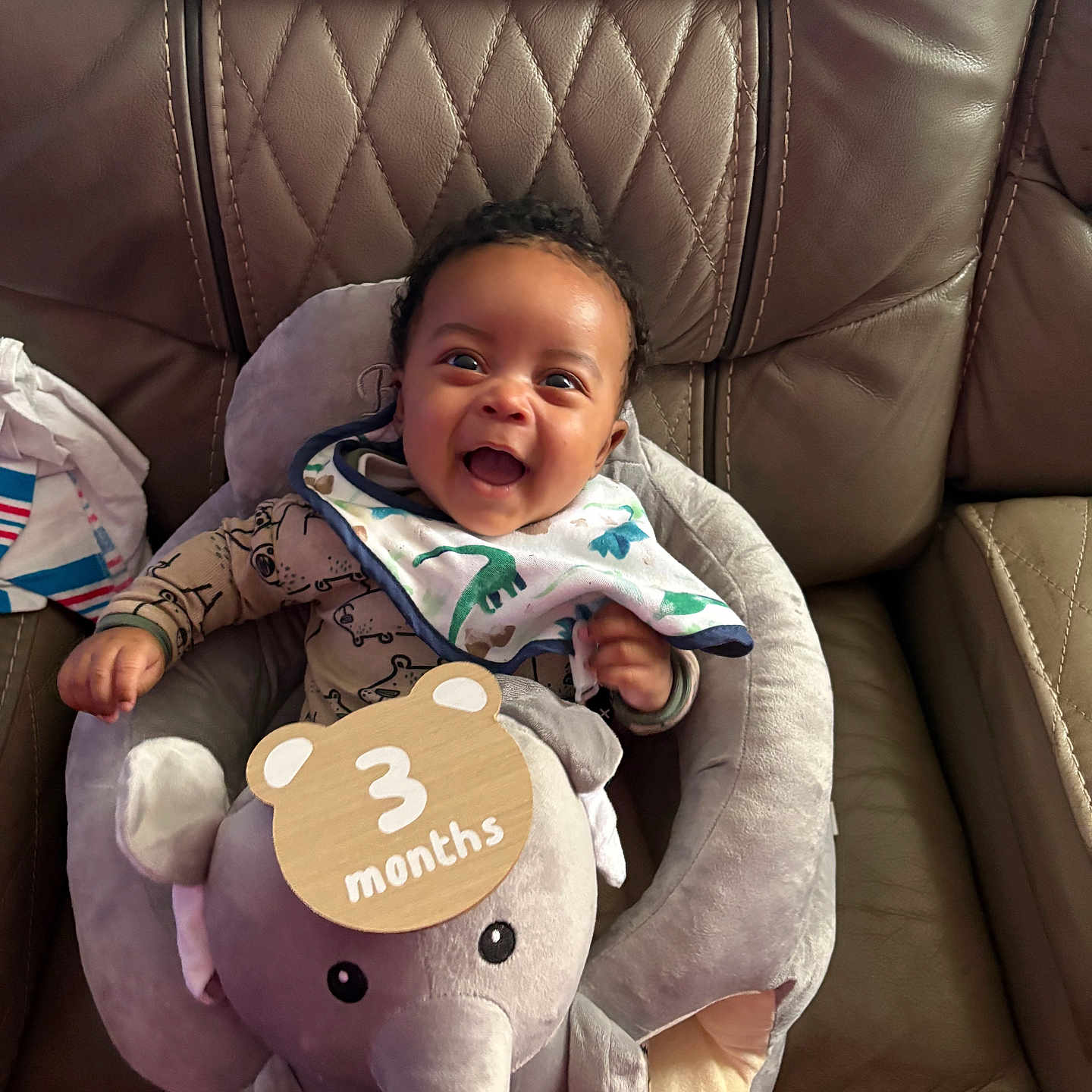 Alexander joined the competition — help win amazing prizes! baby, infant, child, smiling, happy, portrait, seated, elephant_plush, stuffed_toy, three_months, wooden_sign, bib, onesie, cuddling, leather_chair, indoor, close_up, facial_expression, baby_seat, family_photo