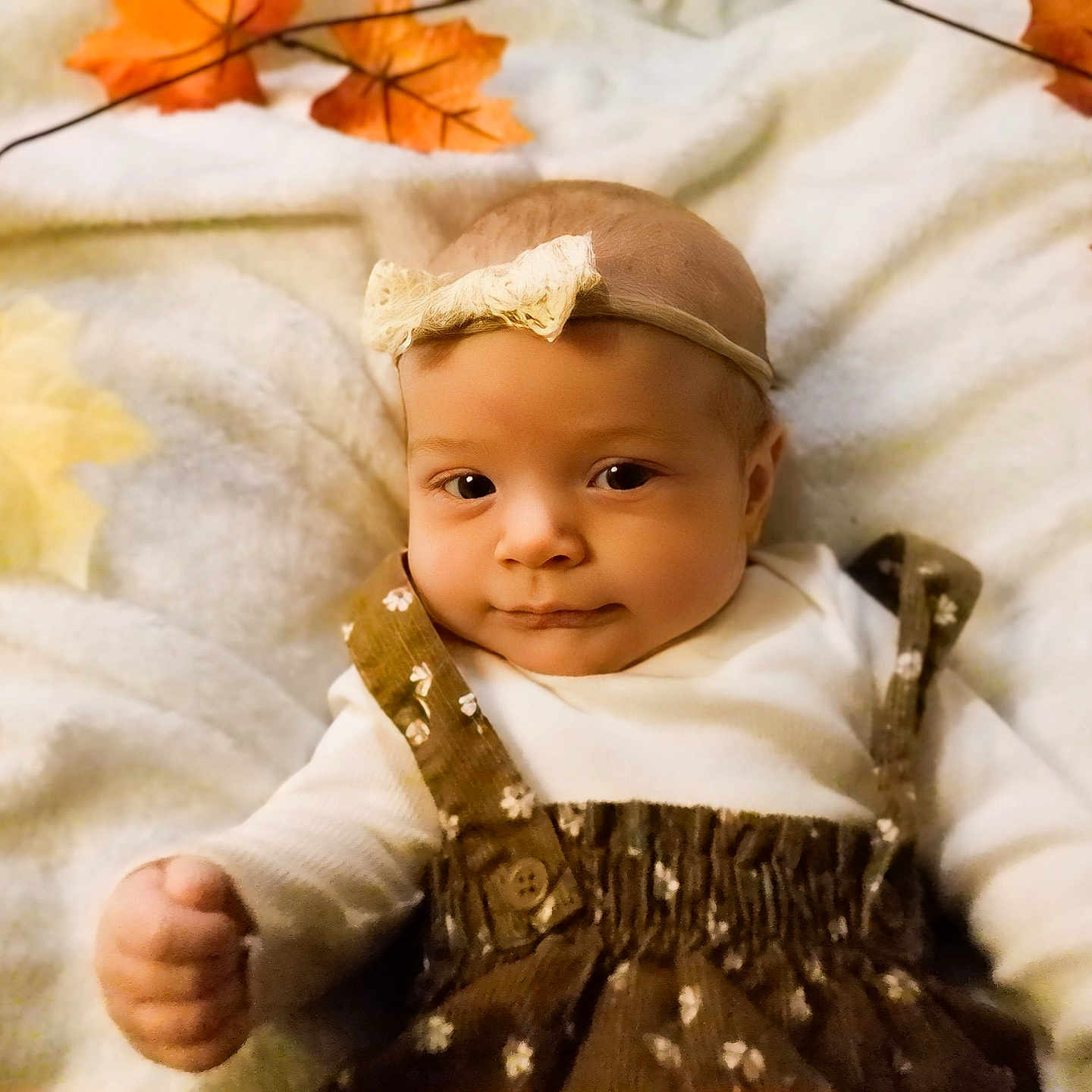 Rosette is registered to the contest to win money with this photo: autumn_leaves, baby, blanket, bow, child, clothing, cute, expression, face, fall, hand, headband, indoors, infant, pattern, portrait, smile, soft_texture, warm_colors, young