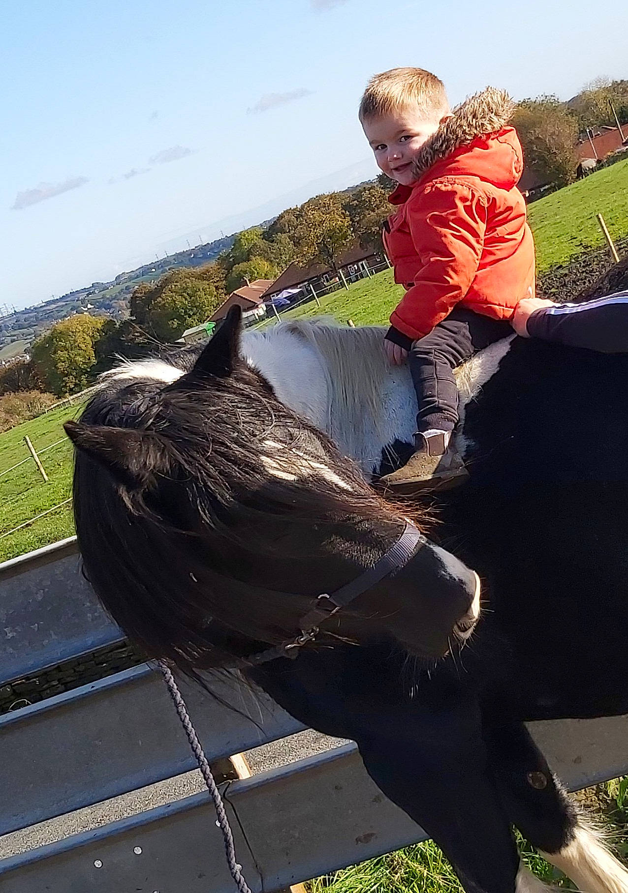 Archie-james is registered to the contest to win money with this photo: person