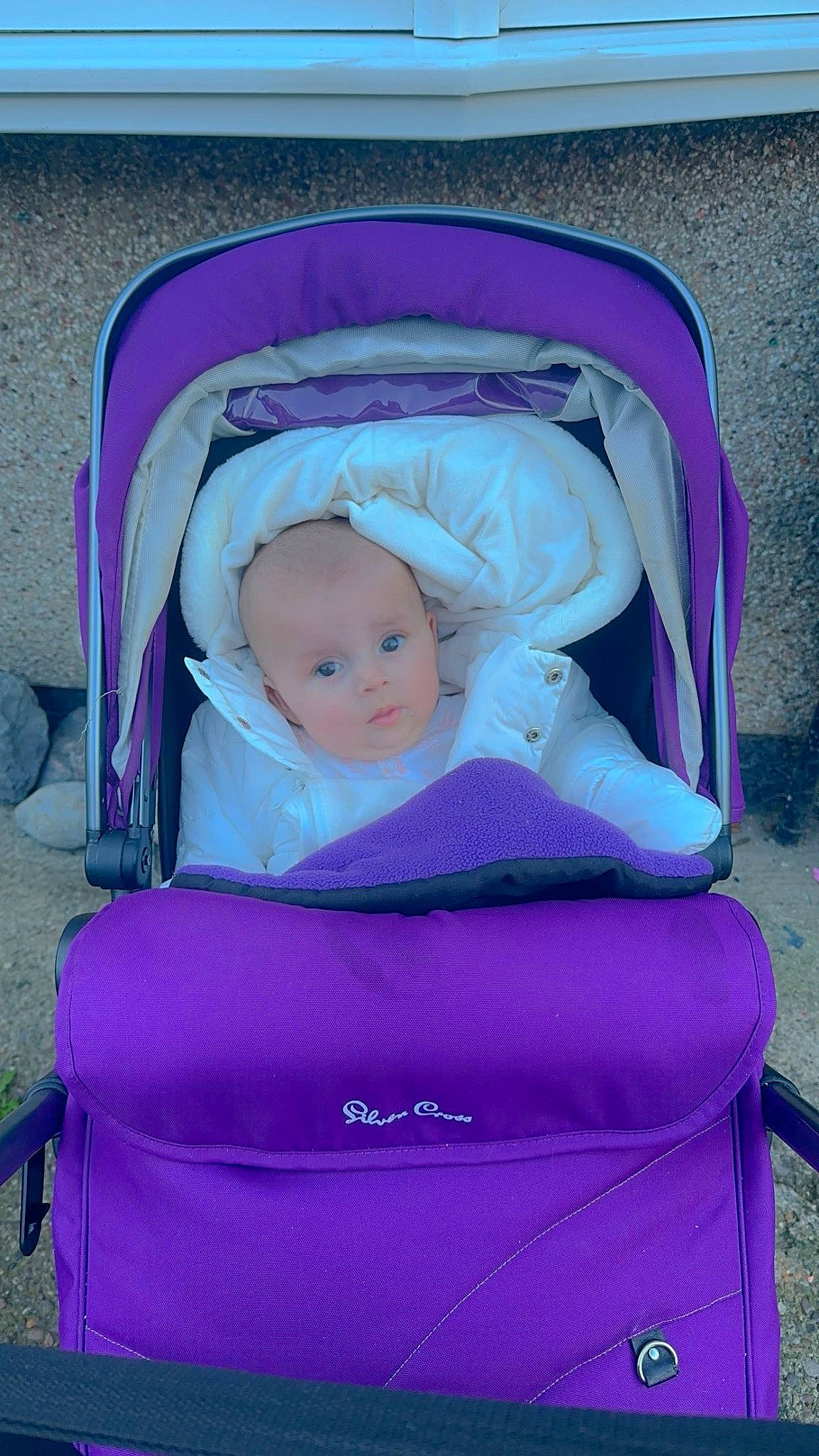 Alice is registered to the contest to win money with this photo: baby, baby_carriage, baby_products, baby_toddler_clothing, blue, chair, child, comfort, electric_blue, magenta, person, pink, product, purple, sitting, toddler, violet