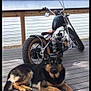 dog, german_shepherd, motorcycle, deck, water, lake, outdoor, wooden_floor, pet, animal, vehicle, vintage, relaxing, calm, sky, cloudy, metal, tire, handlebar, seat