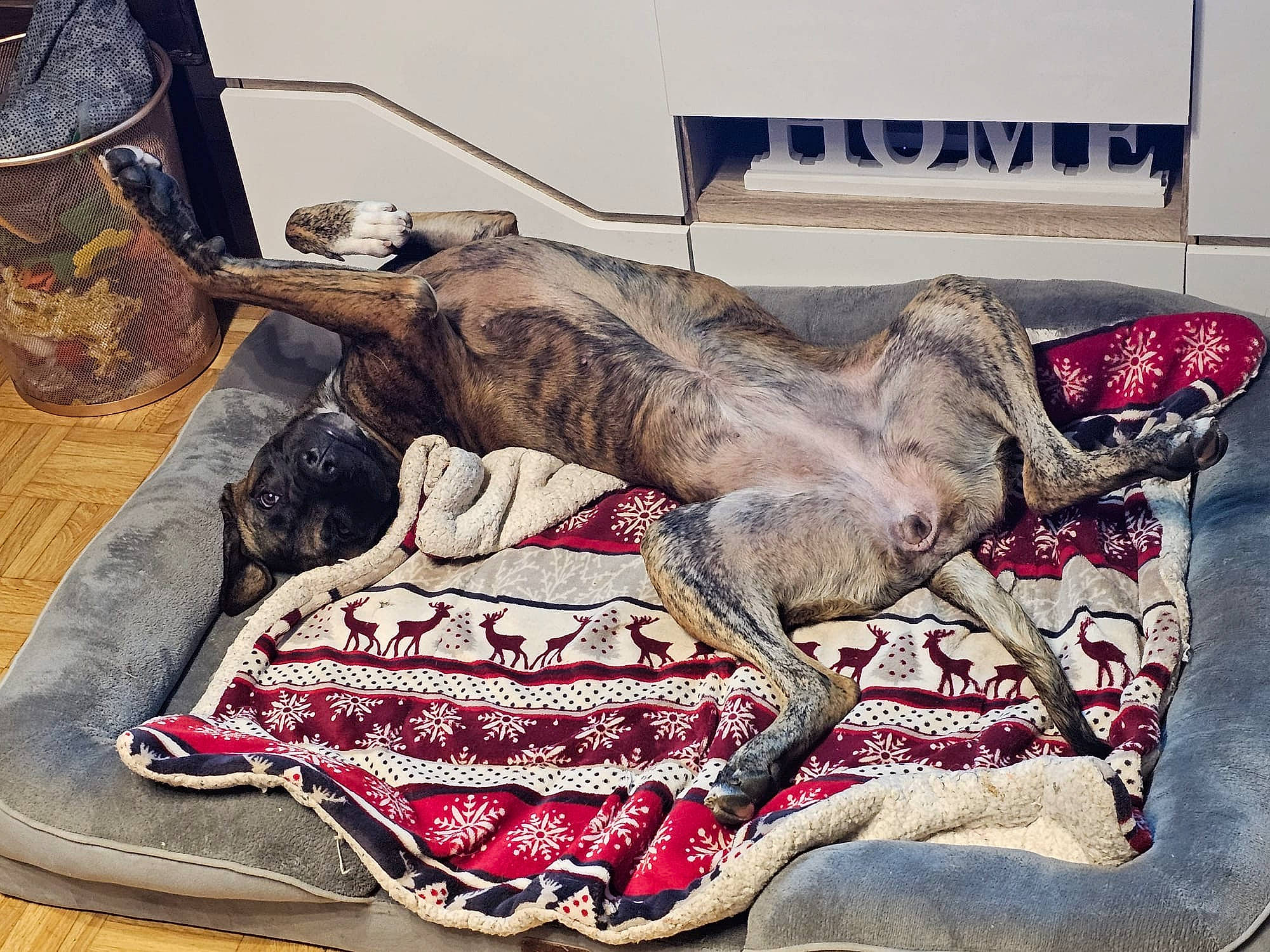 Alma participe au concours pour gagner de l'argent avec cette photo : art, beer, carmine, drawing, extinction, fictional_character, flesh, flooring, fur, illustration, metal, mythical_creature, painting, pattern, sculpture, sleeve, tail, terrestrial_animal, visual_arts, working_animal