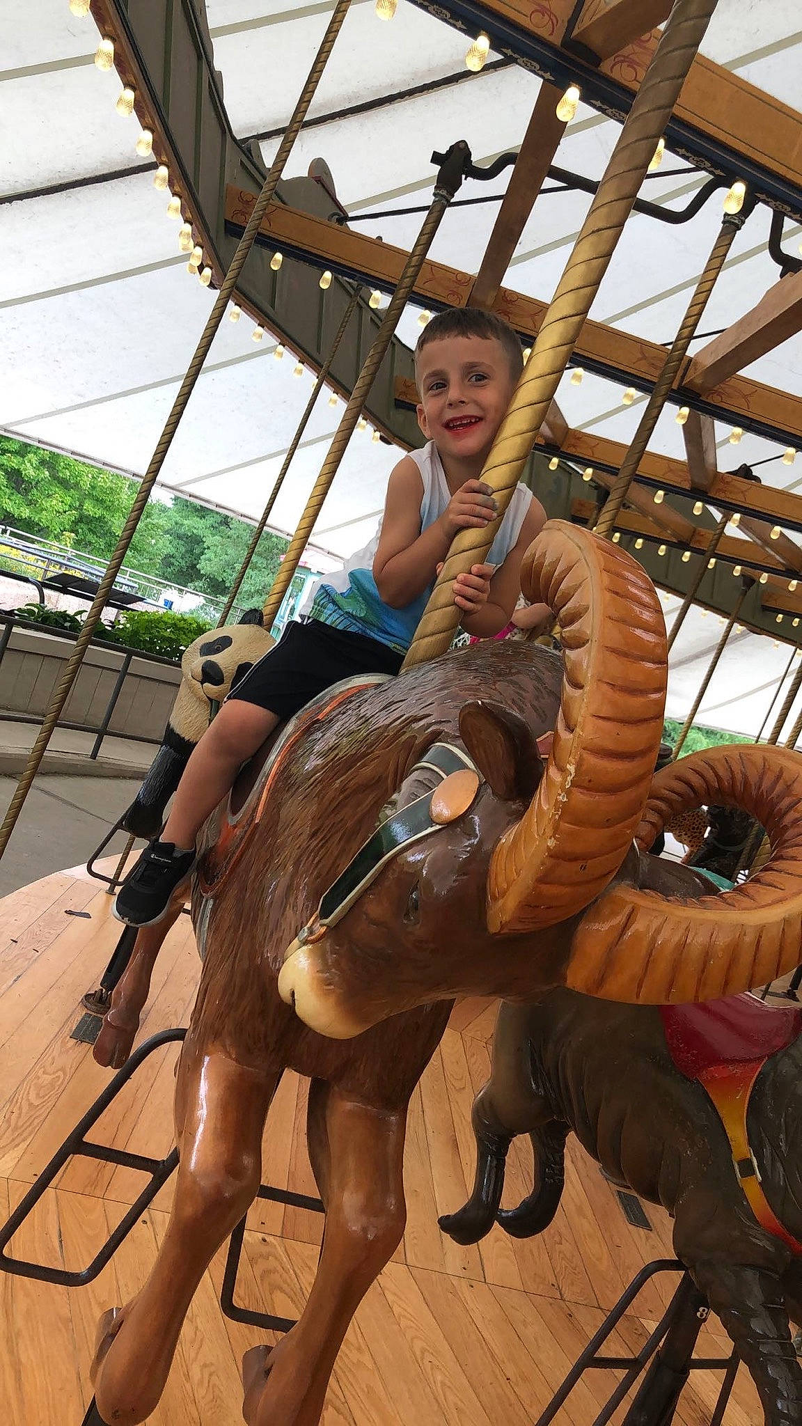 Kacper is registered to the contest to win money with this photo: amusement_park, amusement_ride, joy, person, recreation, working_animal