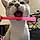 Mr. Kitty