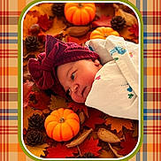 Bailey joined the competition — help win amazing prizes! baby, newborn, infant, blanket, bow, headwear, pumpkin, autumn_leaves, pine_cones, fall, plaid, pattern, portrait, close_up, wrapped, cozy, laying_down, orange, red, brown