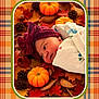 baby, newborn, infant, blanket, bow, headwear, pumpkin, autumn_leaves, pine_cones, fall, plaid, pattern, portrait, close_up, wrapped, cozy, laying_down, orange, red, brown