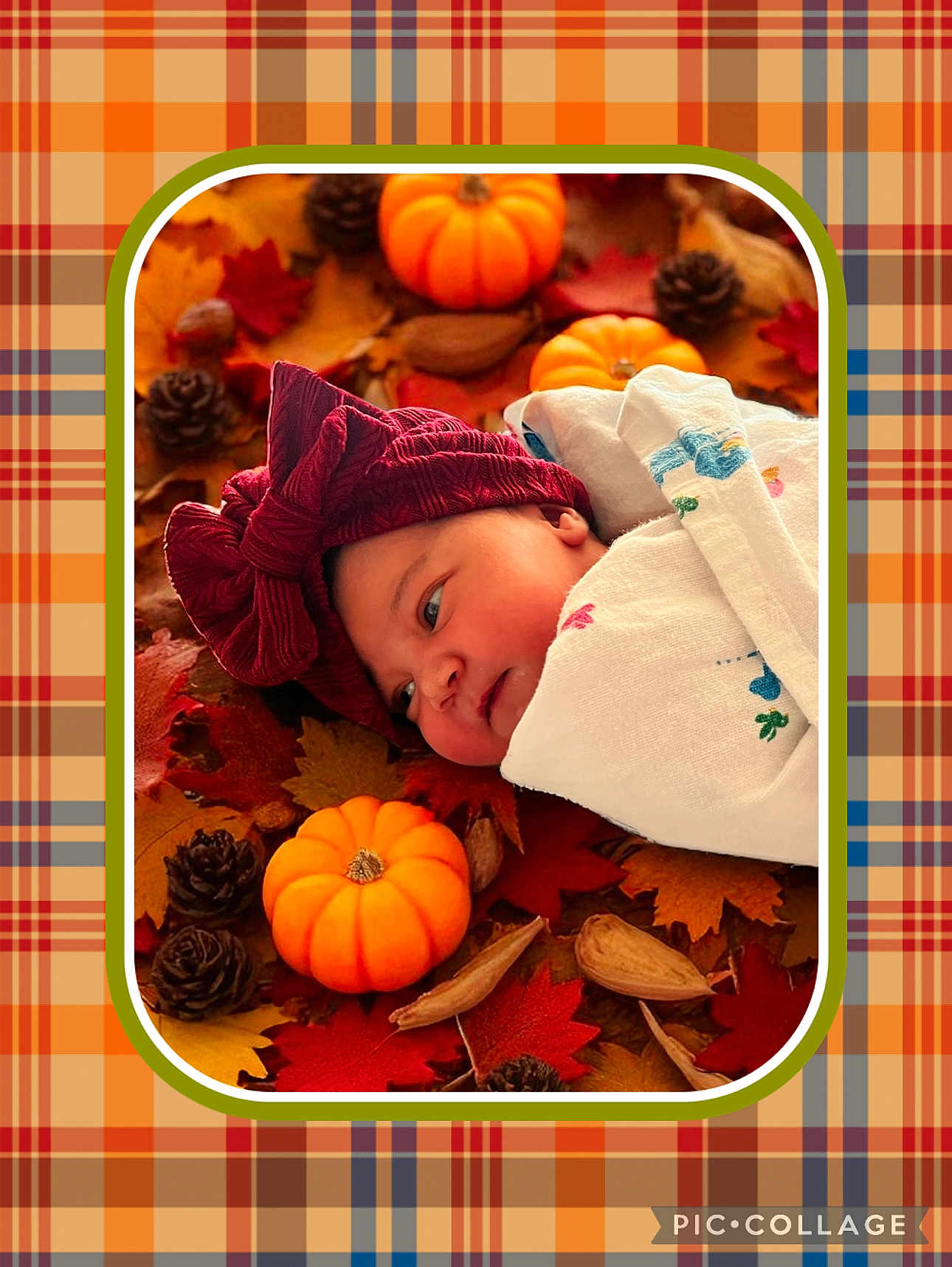 Bailey joined the competition — help win amazing prizes! baby, newborn, infant, blanket, bow, headwear, pumpkin, autumn_leaves, pine_cones, fall, plaid, pattern, portrait, close_up, wrapped, cozy, laying_down, orange, red, brown
