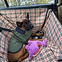 puppy, dog, car_interior, plaid_pattern, jacket, toy, purple_plush, window, trees, seat_cover, resting, brown_fur, black_muzzle, ears, leash, pet, canine, comfort, travel, cute