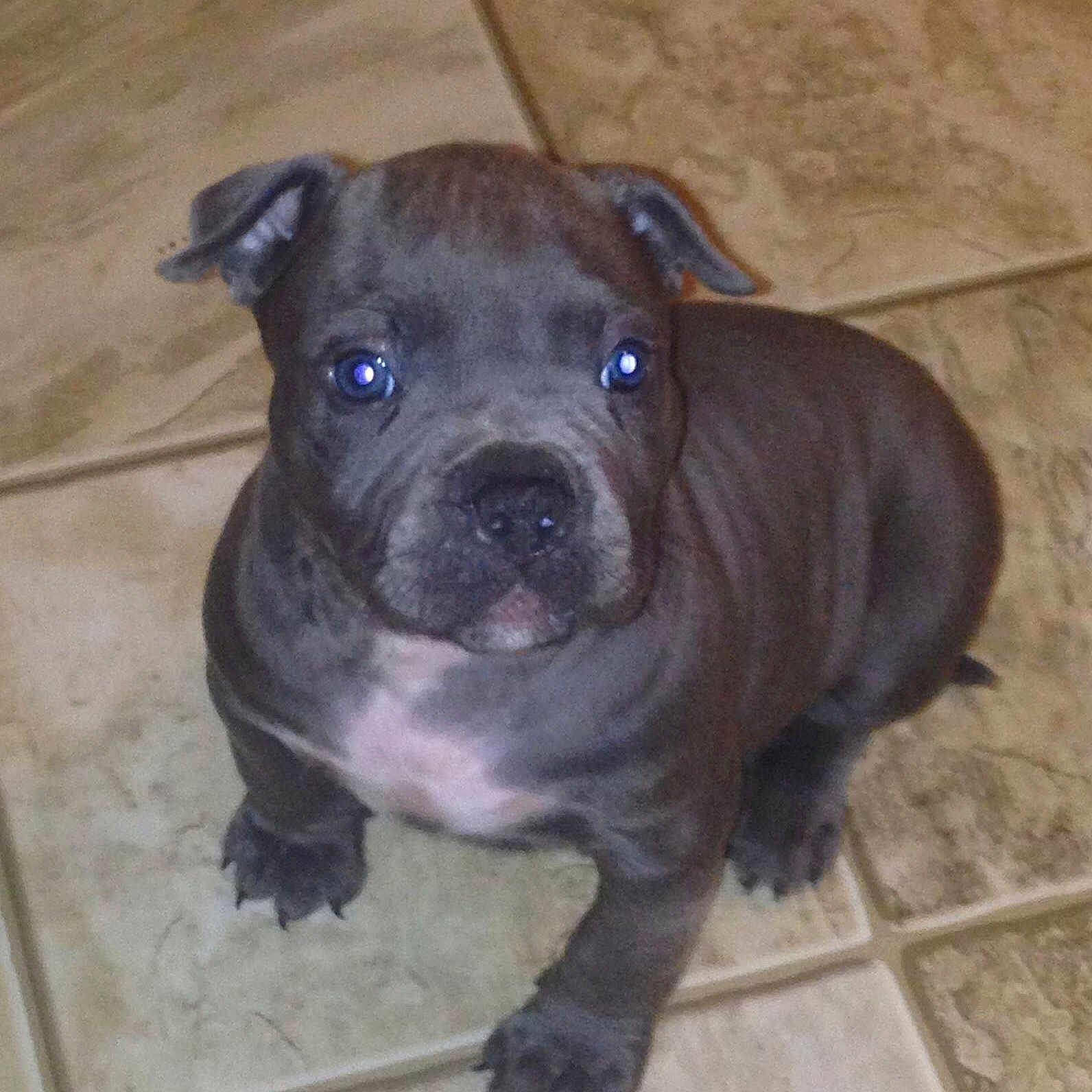 Ruger is registered to the contest to win money with this photo: