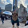 dog, green_sweater, urban_plaza, cloud_gate, skyscraper, reflection, crowd, people, sidewalk, street_lamp, daytime, cloudy_sky, stone_ledge, outdoor, cityscape, trees, winter_clothing, tourist_spot, architecture, public_space