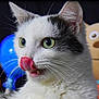 cat, close_up, white_cat, black_spot, green_eyes, tongue_out, whiskers, pet, animal, feline, indoor, balloon, plush_toy, cute, playful, fur, portrait, expression, background, soft_light