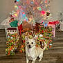 dog, christmas_tree, presents, gift_wrapping, holiday, festive, lights, white_tree, floor, indoor, pet, small_dog, decorations, wrapped_gifts, holiday_lights, cute, canine, festivity, celebration, seasonal