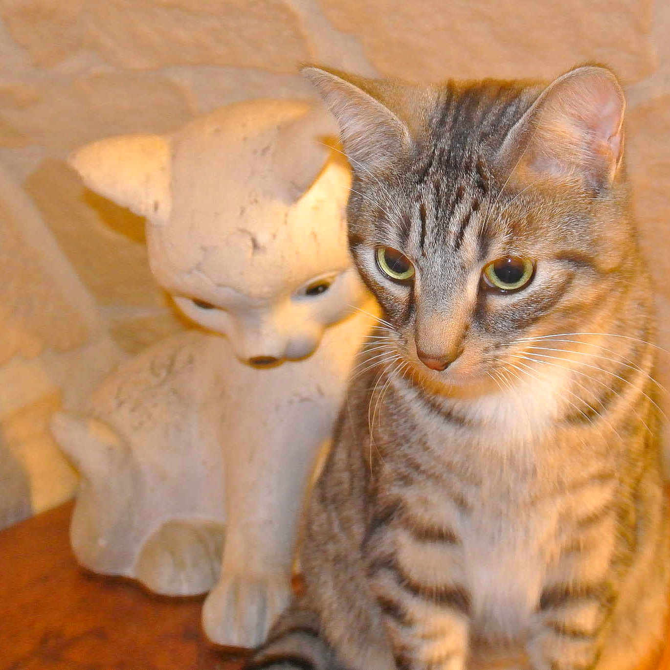 Héliott
