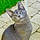 Samy