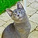Samy