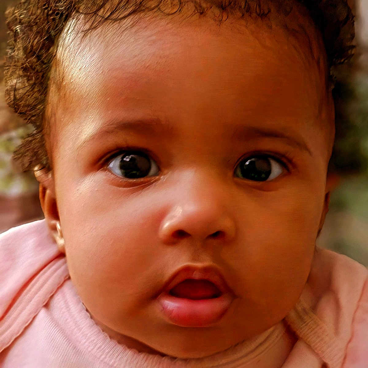 Zaria