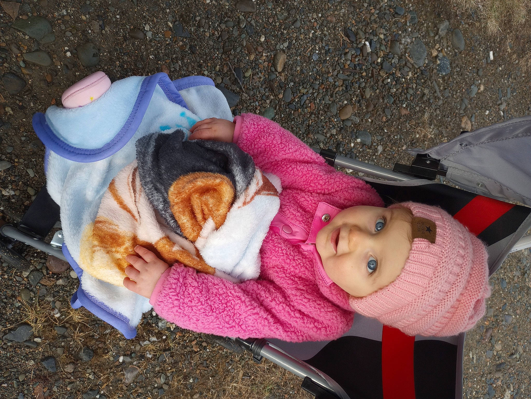 Amelia is registered to the contest to win money with this photo: baby, baby_products, cat, child, comfort, fashion_accessory, fawn, felidae, fur, grass, hat, headgear, headwear, person, small_to_medium_sized_cats, smile, stuffed_toy, tail, toddler, toy