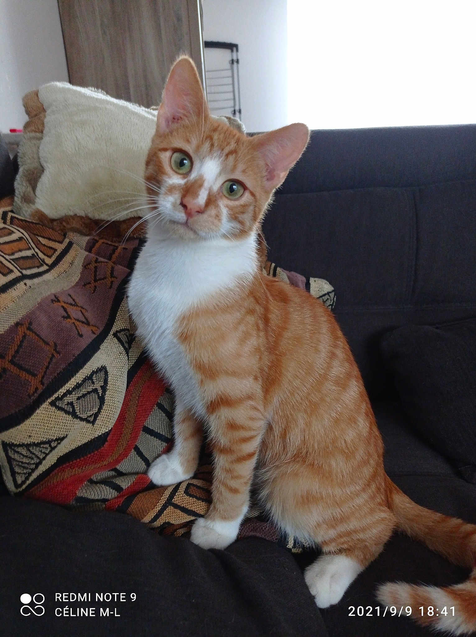 Saïko
