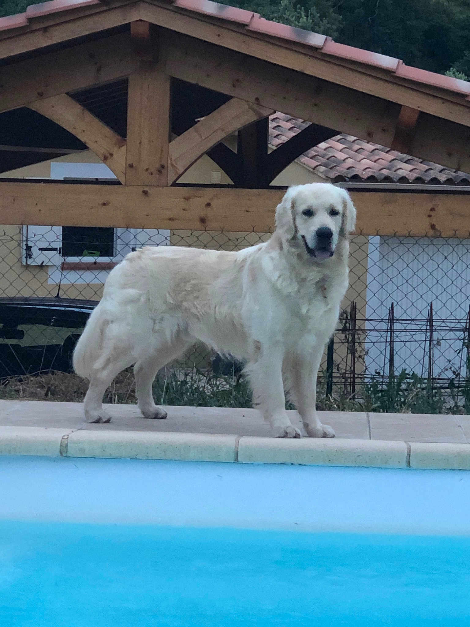 Oscar