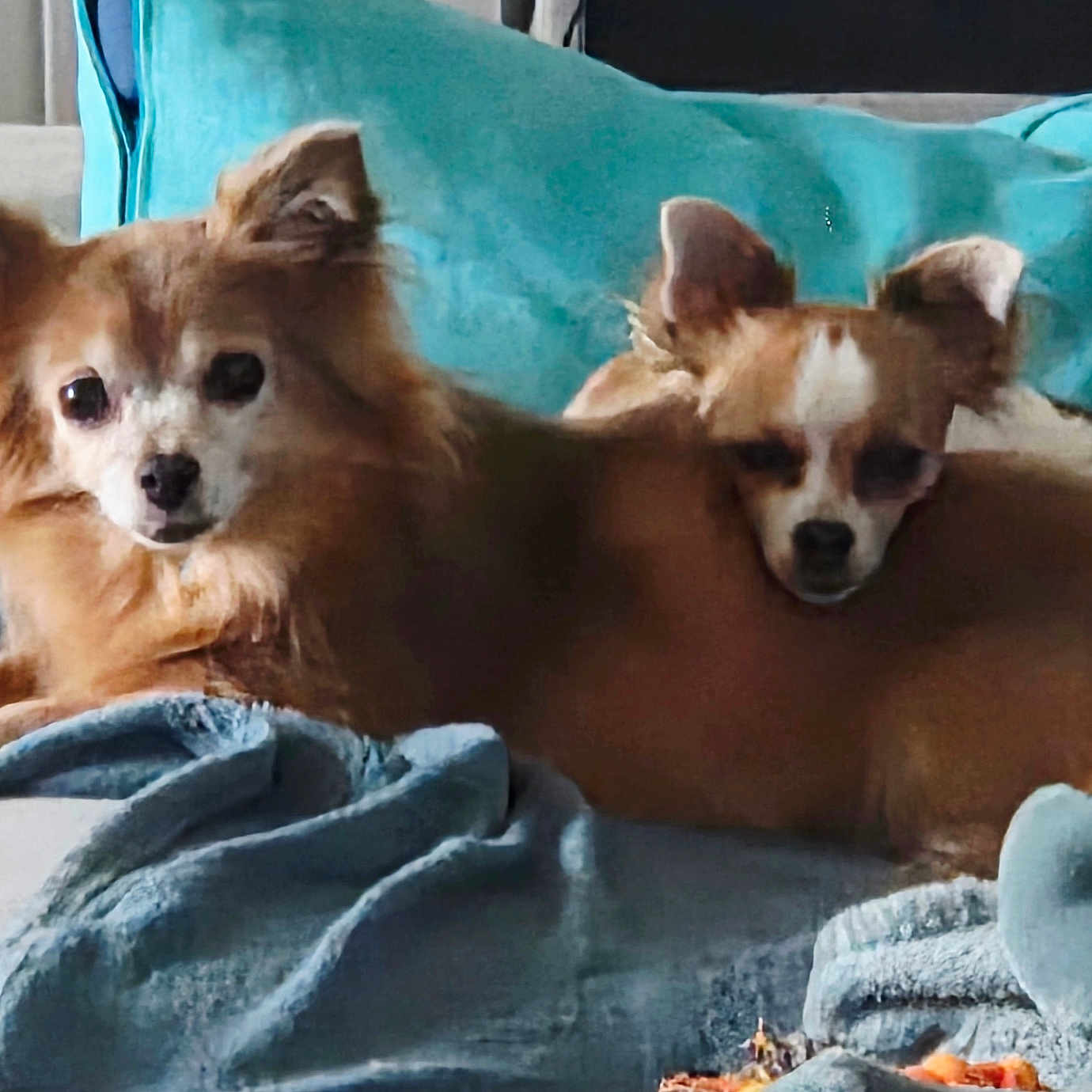 Priska Et Freyja