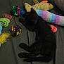 black_cat, cat, bed, bedding, pillow, cat_toys, fish_toy, striped_toy, crinkly_toy, colorful, pet, indoor, sleeping, resting, feline, soft_toys, furry, animal, domestic_animal, toy_collection