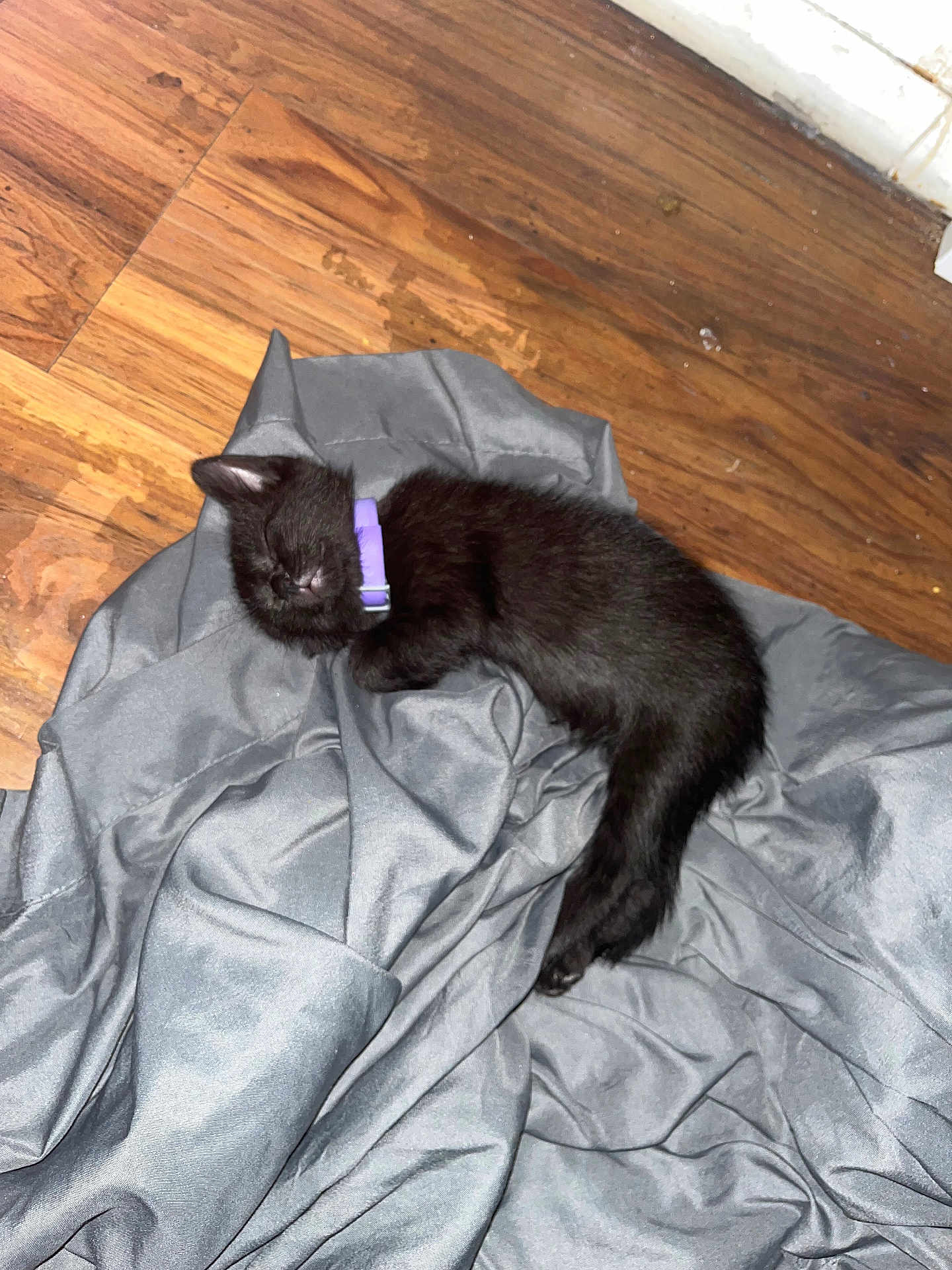 Luna