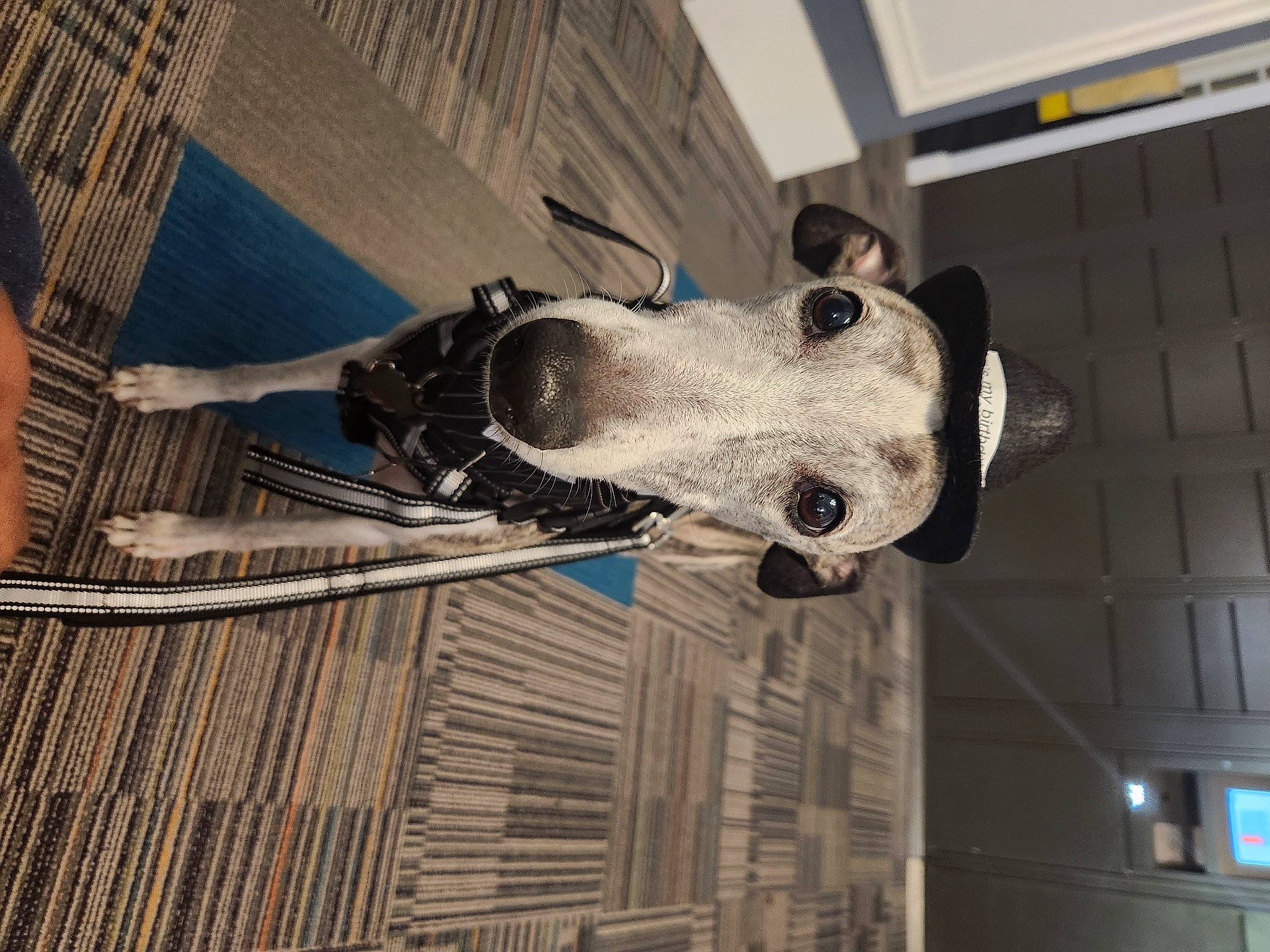 Dakota Anthony Lanfair